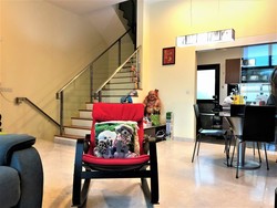 Jansen 8 (D19), Terrace #191694982